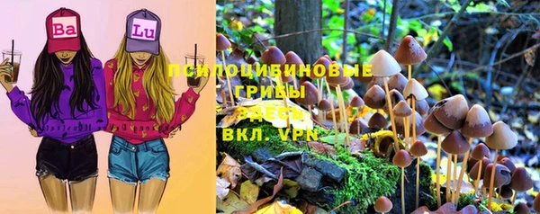 амф Абинск