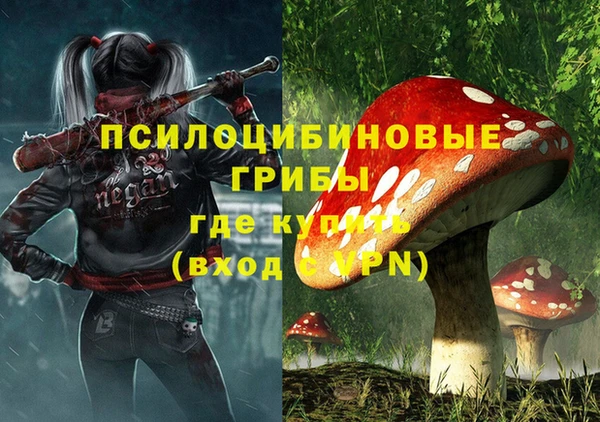 амф Абинск