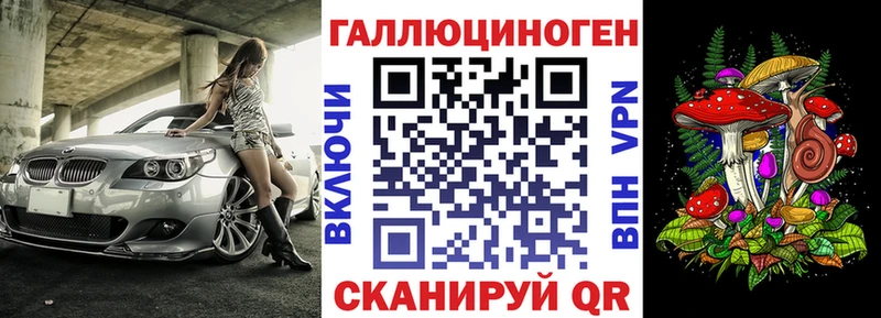 Псилоцибиновые грибы Psilocybe  даркнет сайт  Чита 