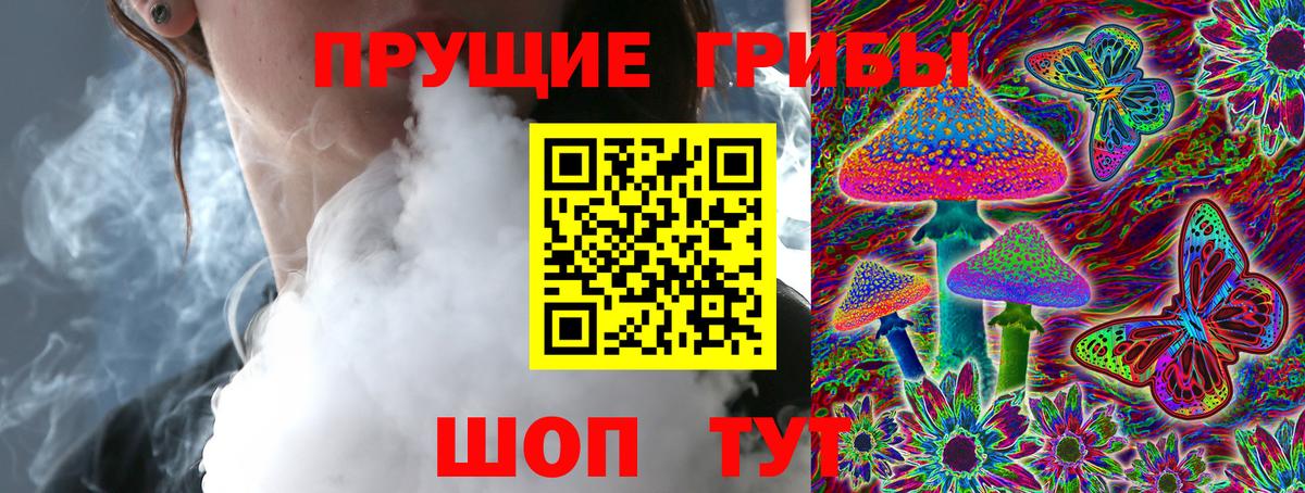 Псилоцибиновые грибы Cubensis Чита